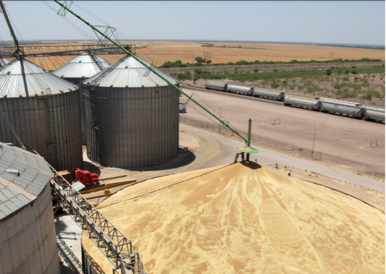 Cómo simplificar procesos de monitoreo ambiental y análisis de matrices con Medios de Cultivo Listos para Usar.