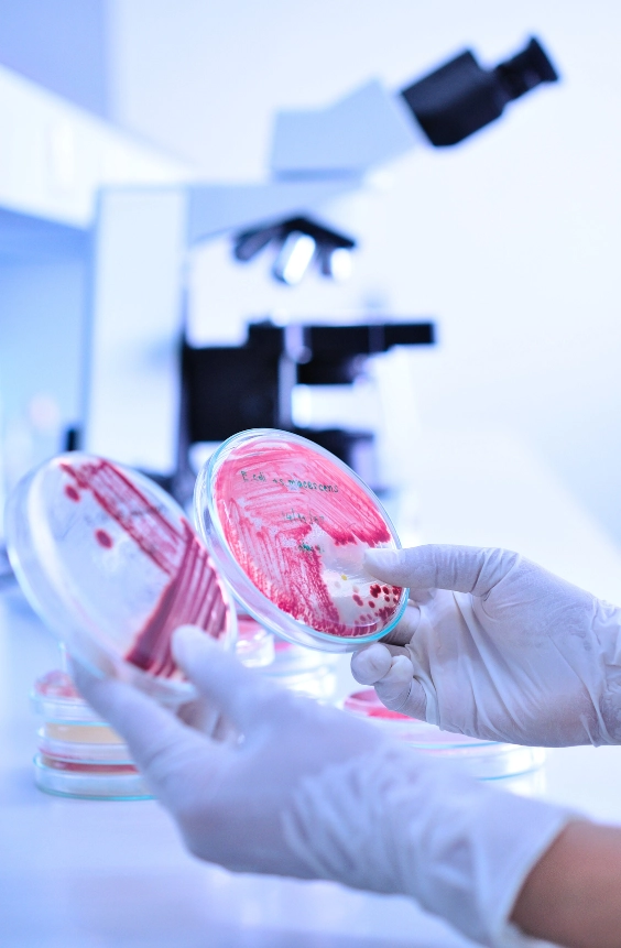 FOTO 3 Microbiólogo trabajando