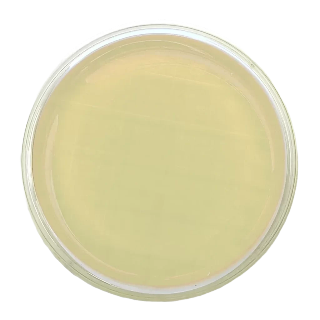 Agar Cetrimide - Irradiado - Placa tipo Rodac Ø 65 mm x 15 mm.