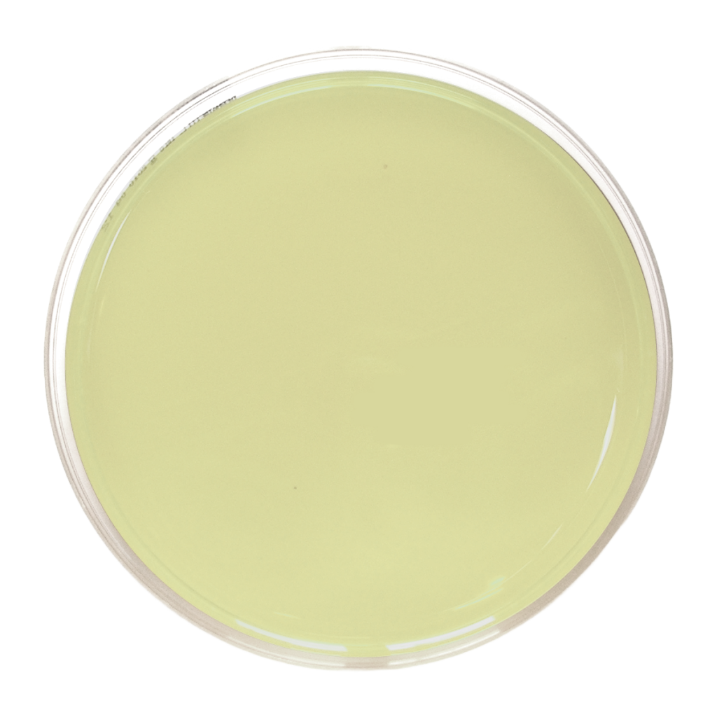 Agar R2A - Irradiado - Placa de Petri Ø 90 mm x 15 mm.