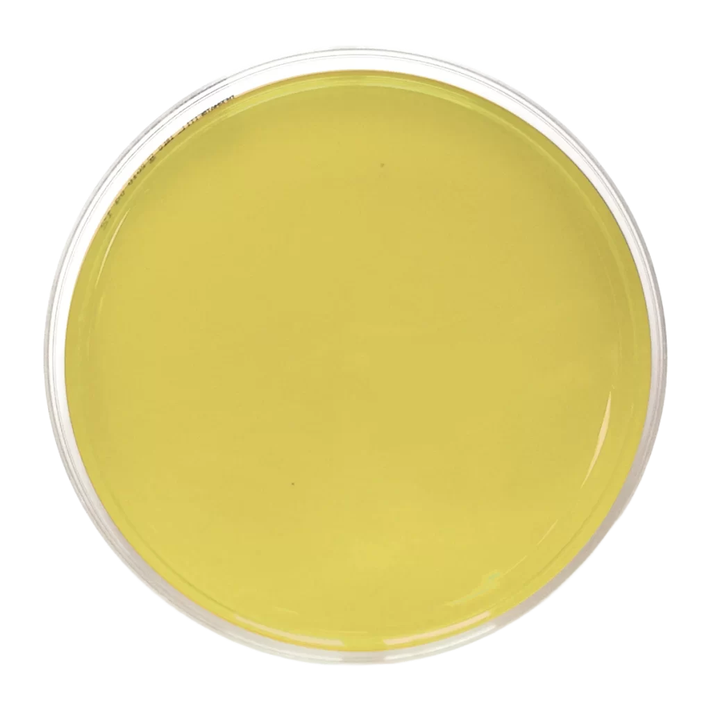 AGAR DIGERIDO CASEINA Y SOJA (TSA) + LECITINA +POLISORBATO + TIOSULFATO + L-HISTIDINA +PENASE – Irradiado - Placa de Petri Ø 90 mm x 15 mm.