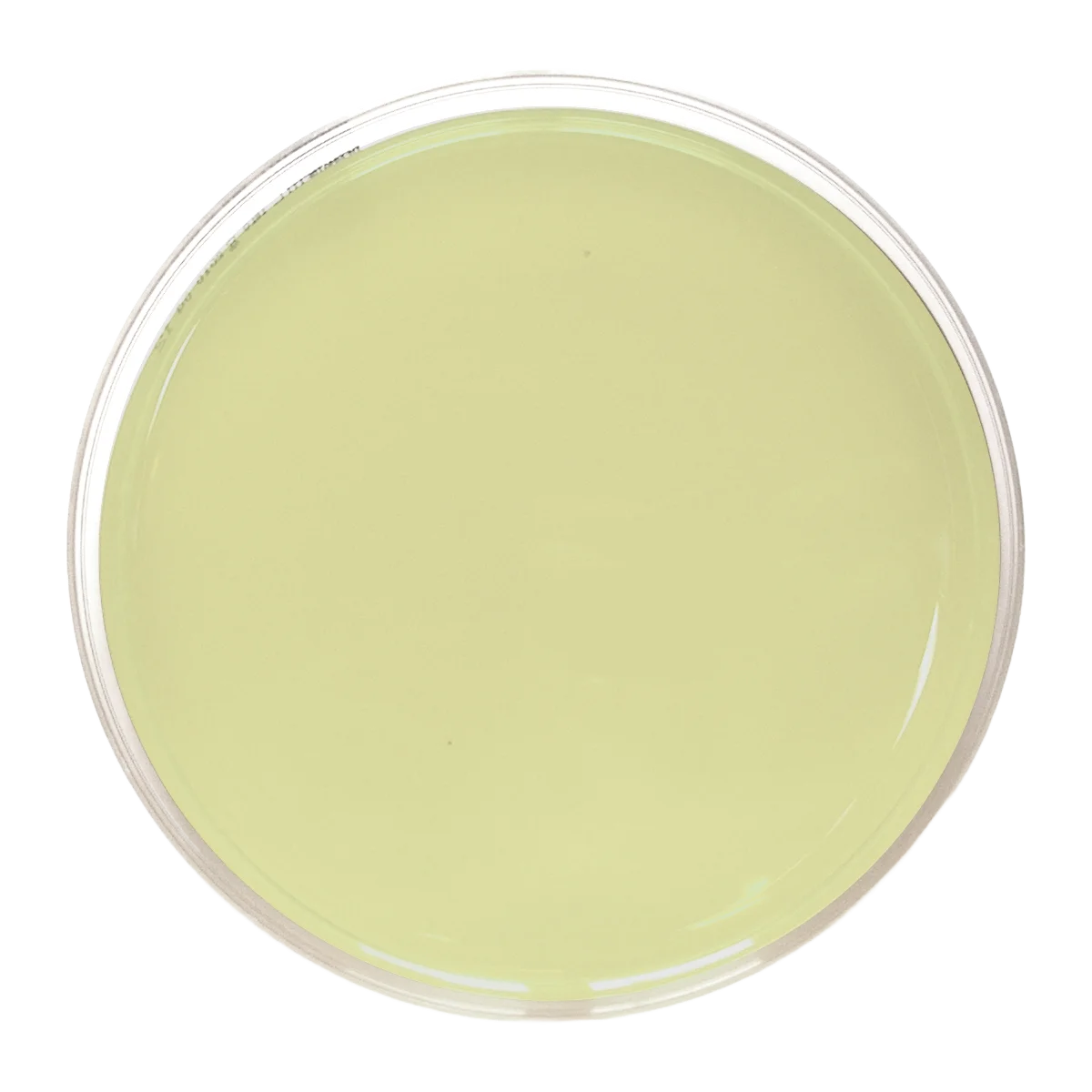 Agar Papa Dextrosa - Placa de Petri Ø 90 mm x 15 mm Conteniendo