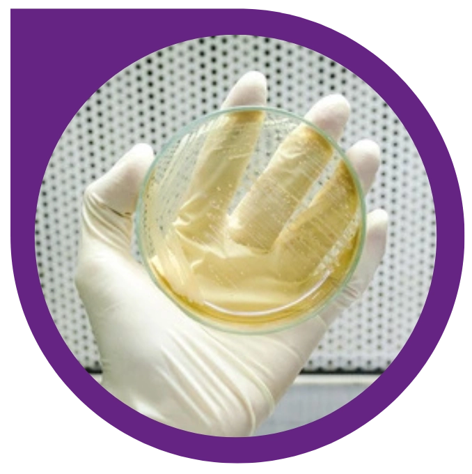 monitoreo ambiental MONITOREO AMBIENTAL