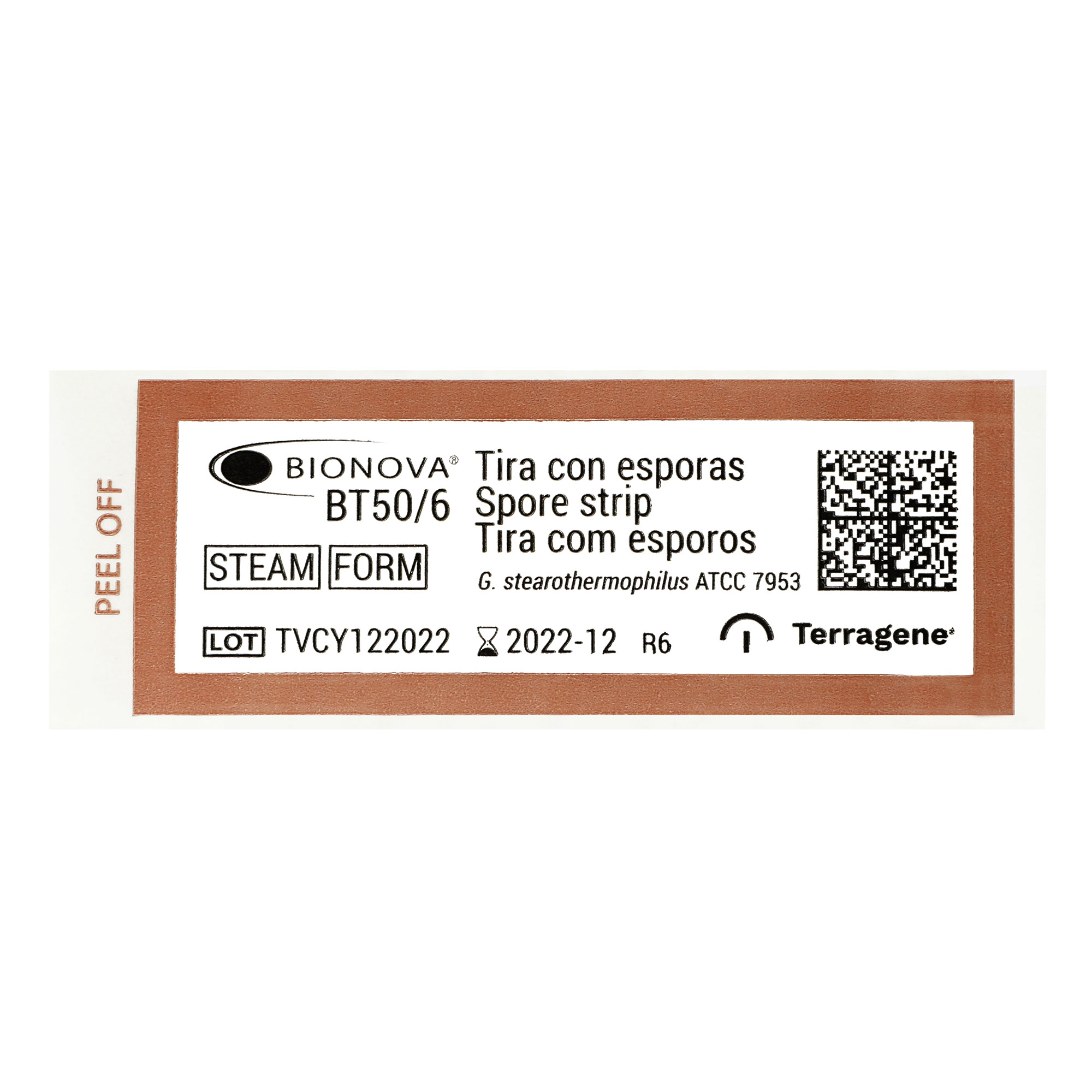 Tiras de esporas para Steam y LTSF (10 ^ 6 esporas) - Image 2