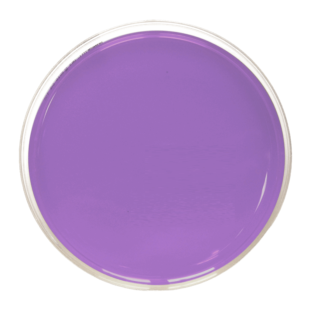 Agar VRBD - Placa de Petri Ø 90 mm x 15 mm